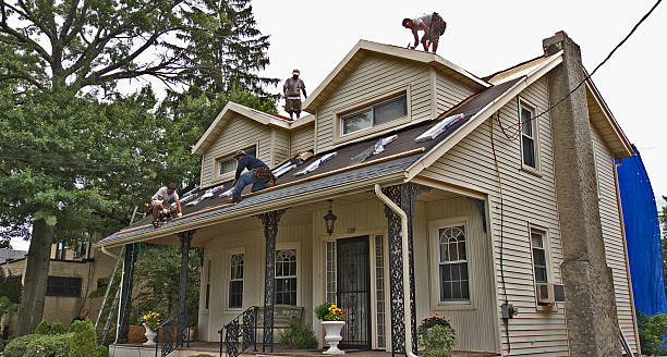 Best Flat Roof Repair Services  in Shively, KY