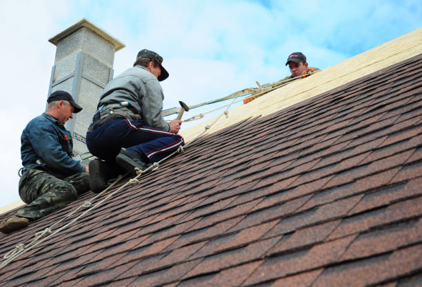 Best Roof Gutter Cleaning  in Shively, KY